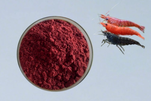 How Can Brands Select Bulk Astaxanthin Powder for Stable Product Formulations?